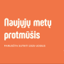 Naujų metų žaidimas - protmūšis